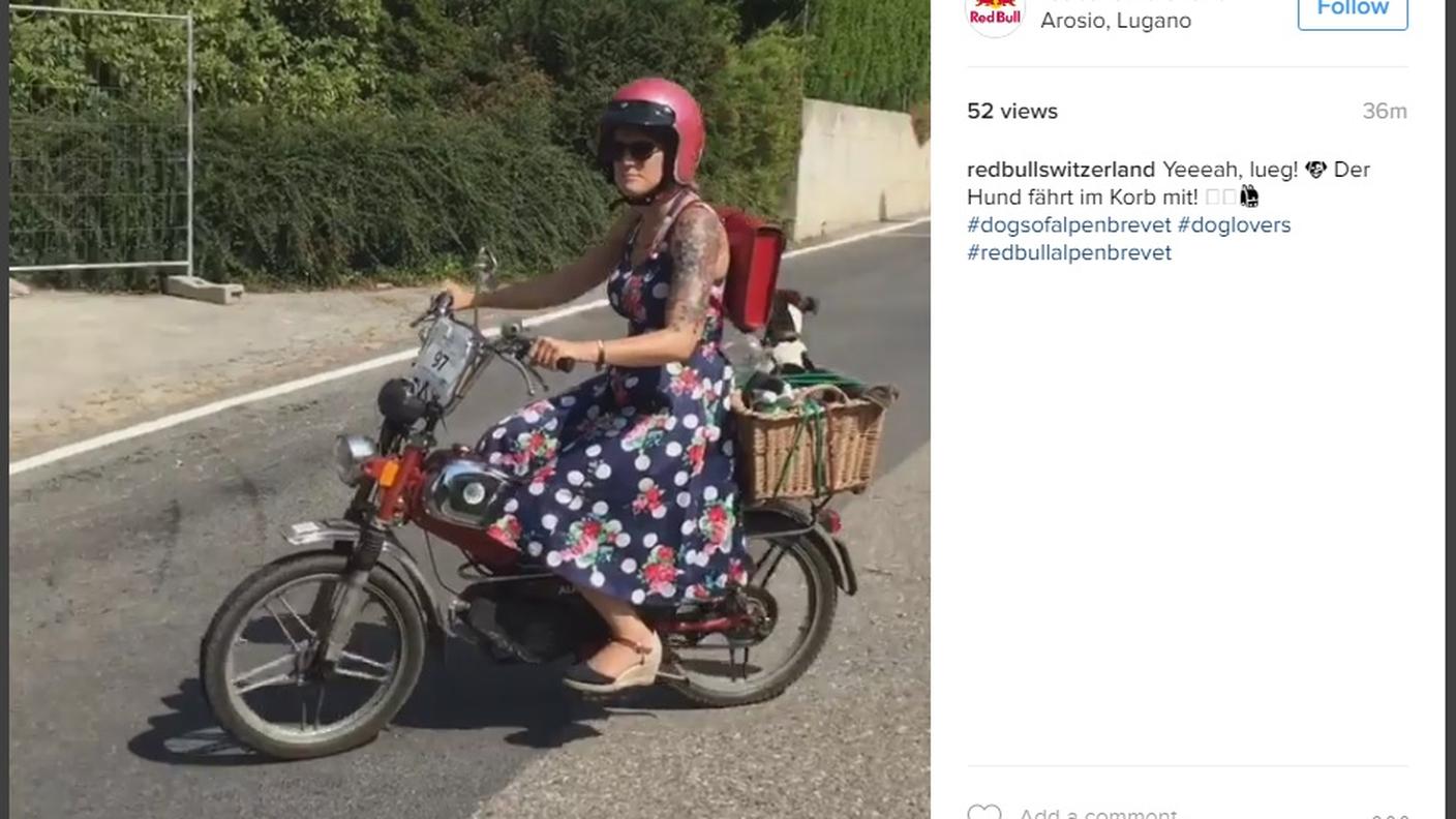 Zainetto vintage e cagnolino nel cestello