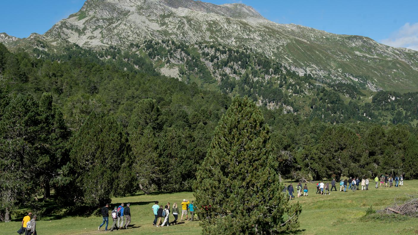 Un'immagine del Parc Adula