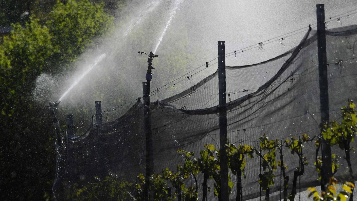 A Pianezzo non si potranno irrigare i vigneti nei prossimi dieci giorni