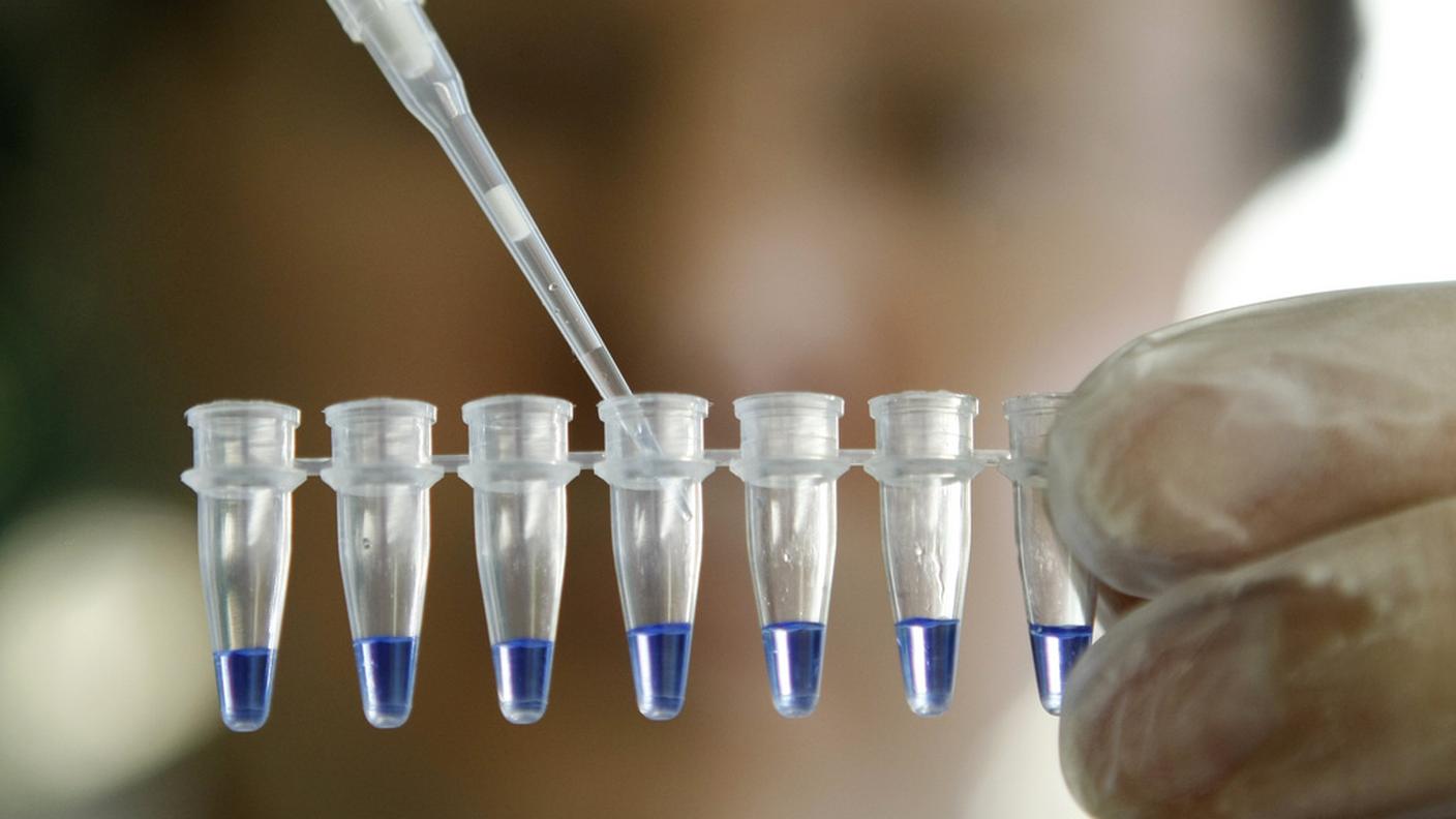 Un test del DNA effettuato a San Gallo è stato etichettato con un nome errato