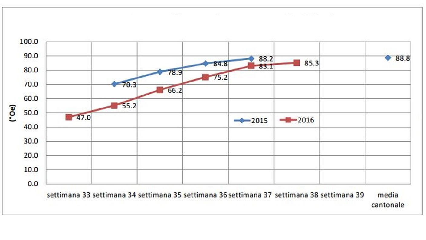 Il tenore di zucchero naturale negli acini 2015 e  2016 a confronto