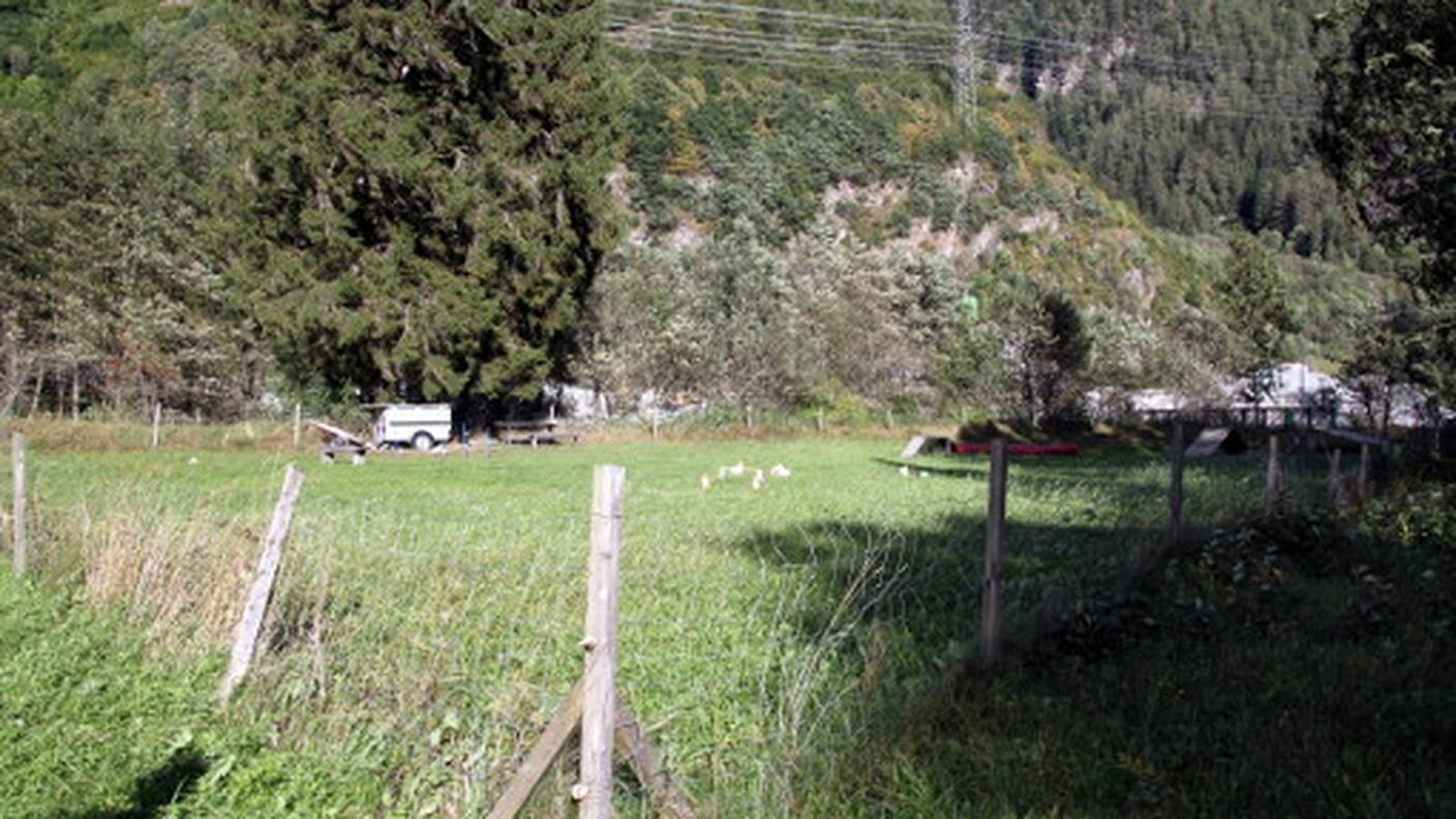 L'area messa a disposizione dei proprietari di cani