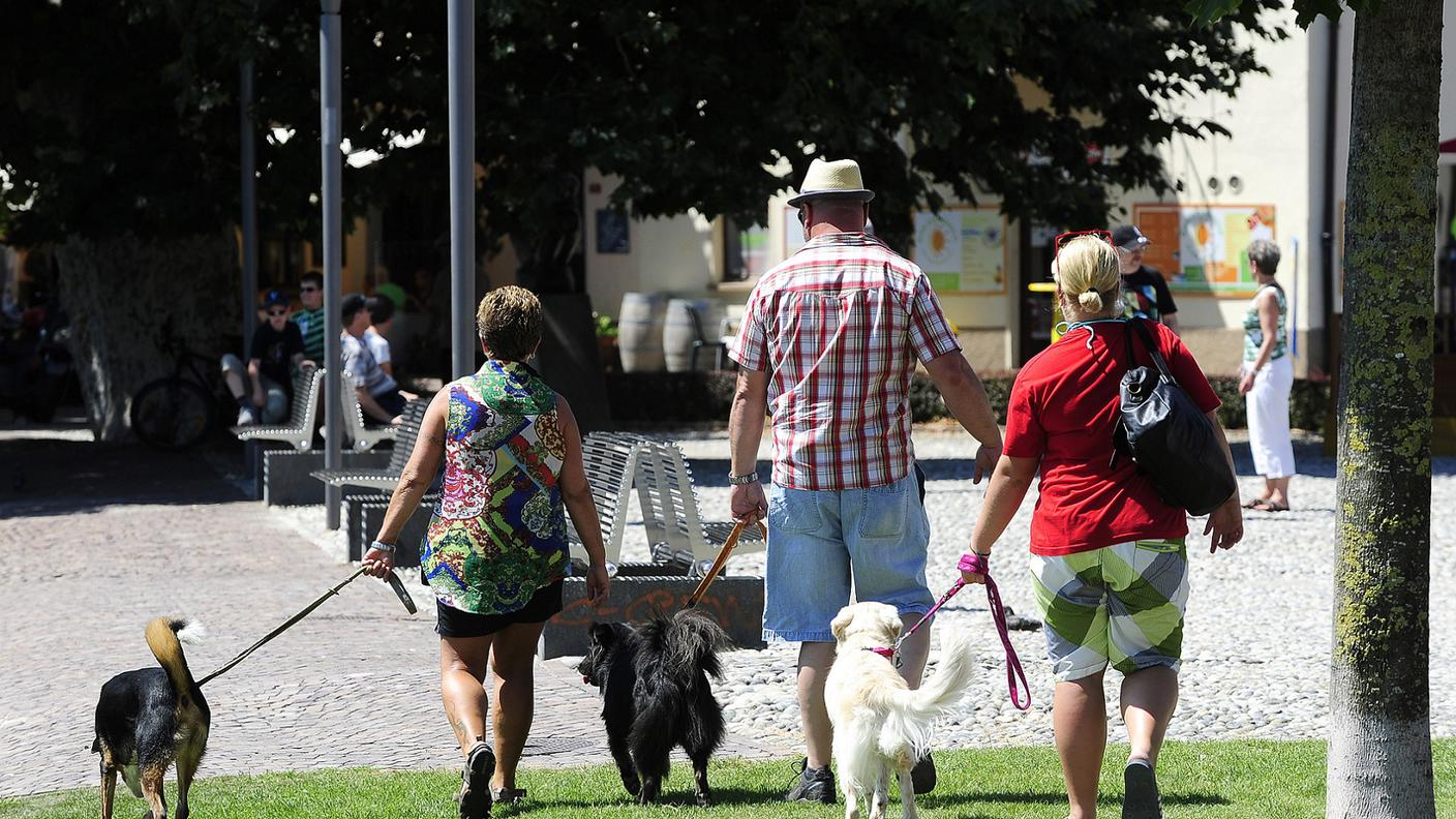 Si andrà a votare in Ticino per rafforzare la protezione degli animali