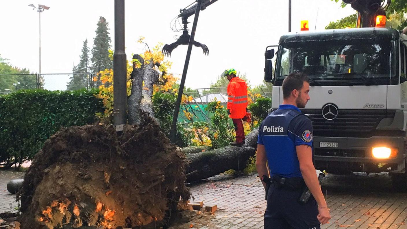 Sul posto la polizia