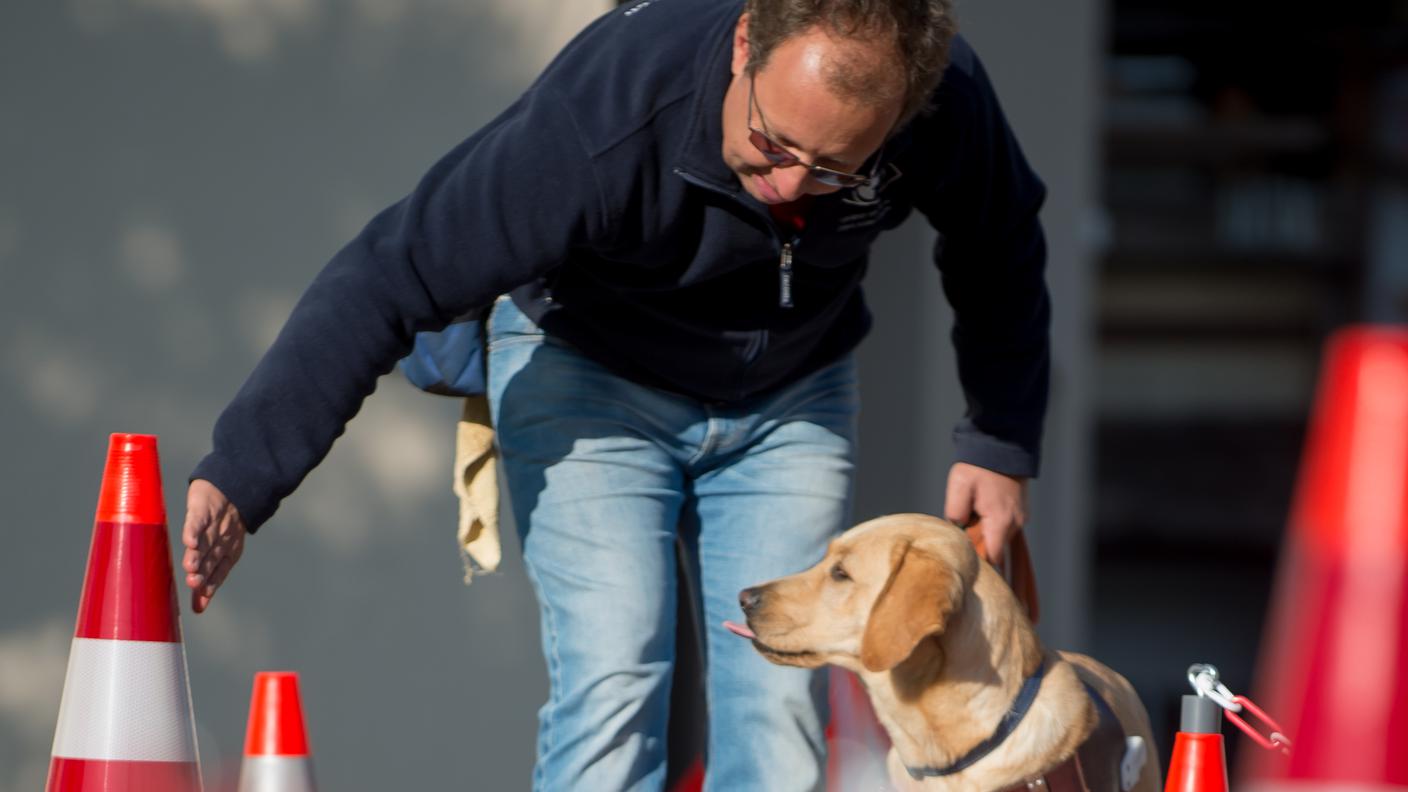 La complicità tra maestro e allievo