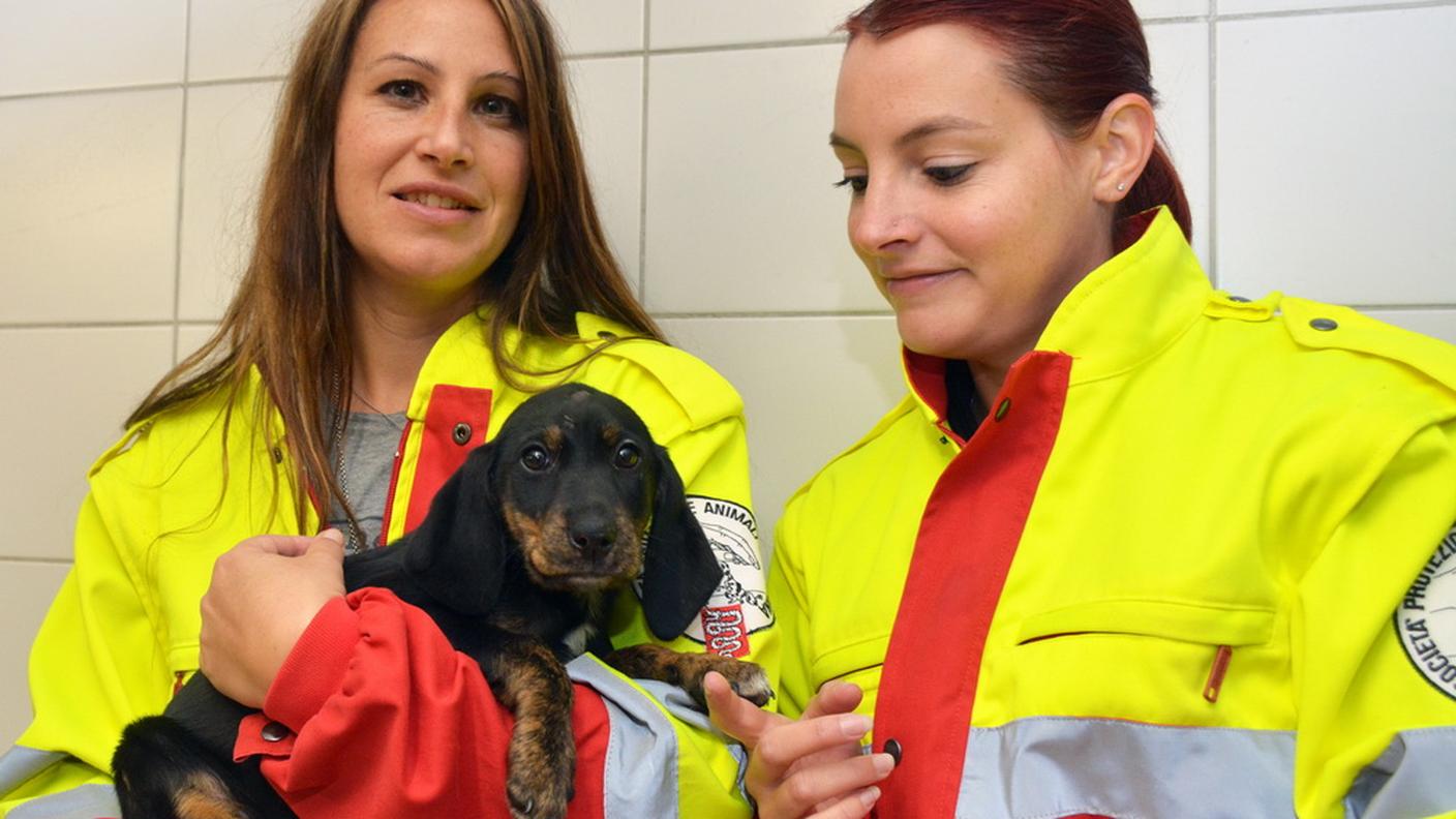 Mascia e Nicla Brughelli hanno setacciato palmo a palmo i cespugli