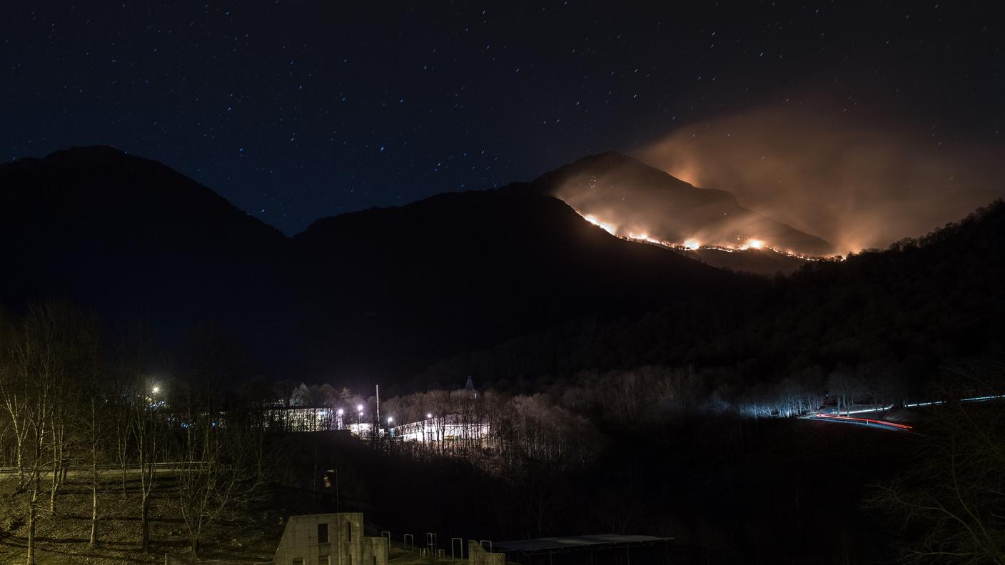 Il bosco in fiamme