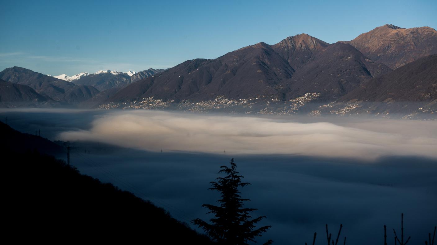Giornate nebbiose