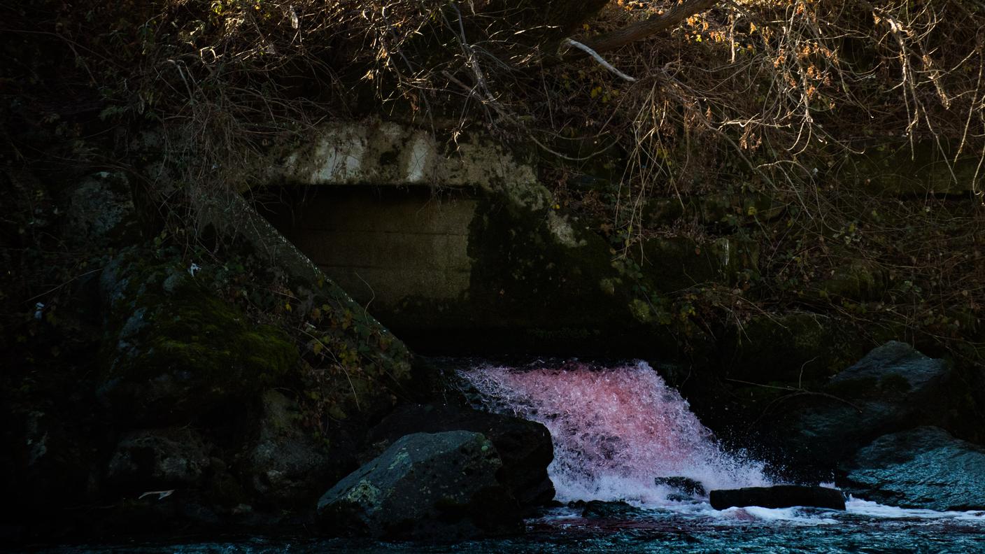 Bloccata l'origine della sostanza, pian piano la colorazione pink  perde d'intensità