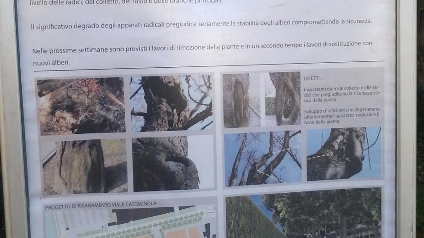 I cartelli informativi sono stati messi presso la navigazione e al Teatro Foce