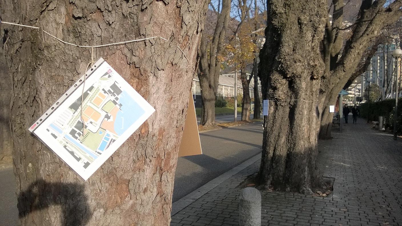 I Verdi chiedono che gli spazi verdi in città siano aumentati