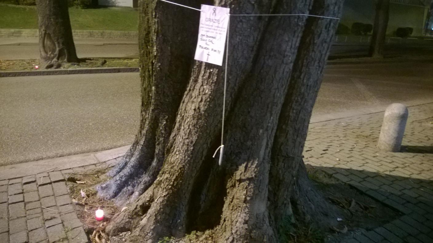 Le candele accese per dare l'addio agli ippocastani a Lugano