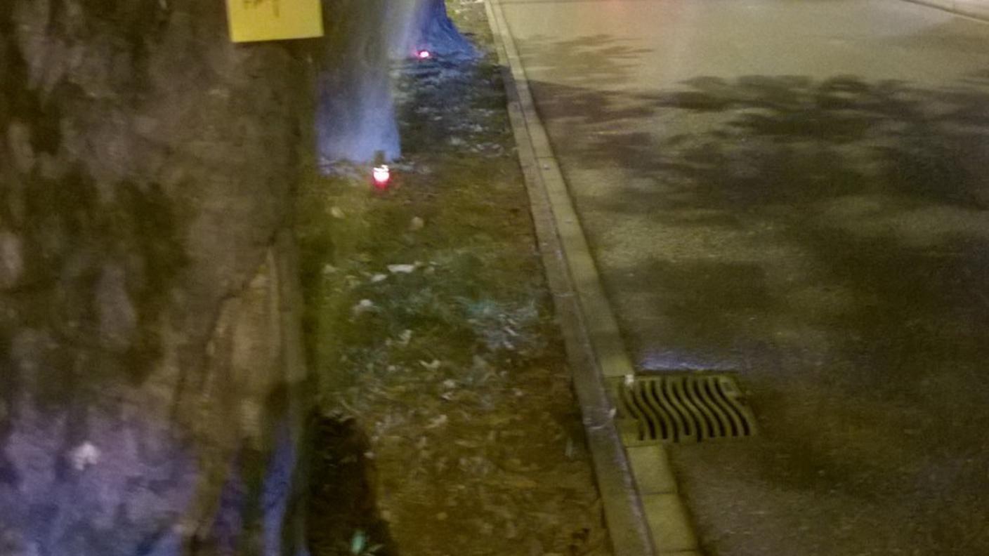 Le candele accese per dare l'addio agli ippocastani a Lugano