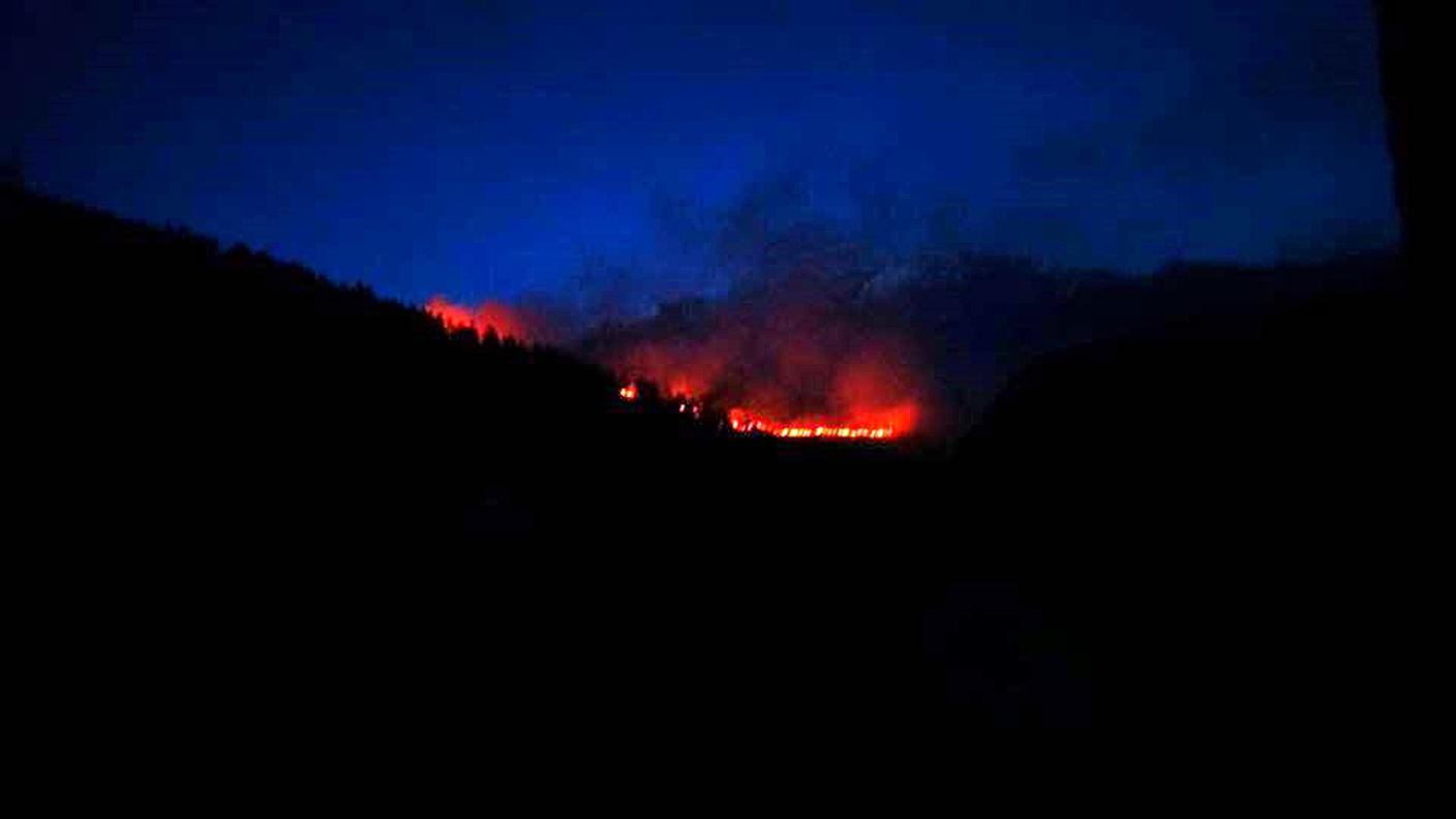 Le fiamme nel bosco sono alimentate dal vento