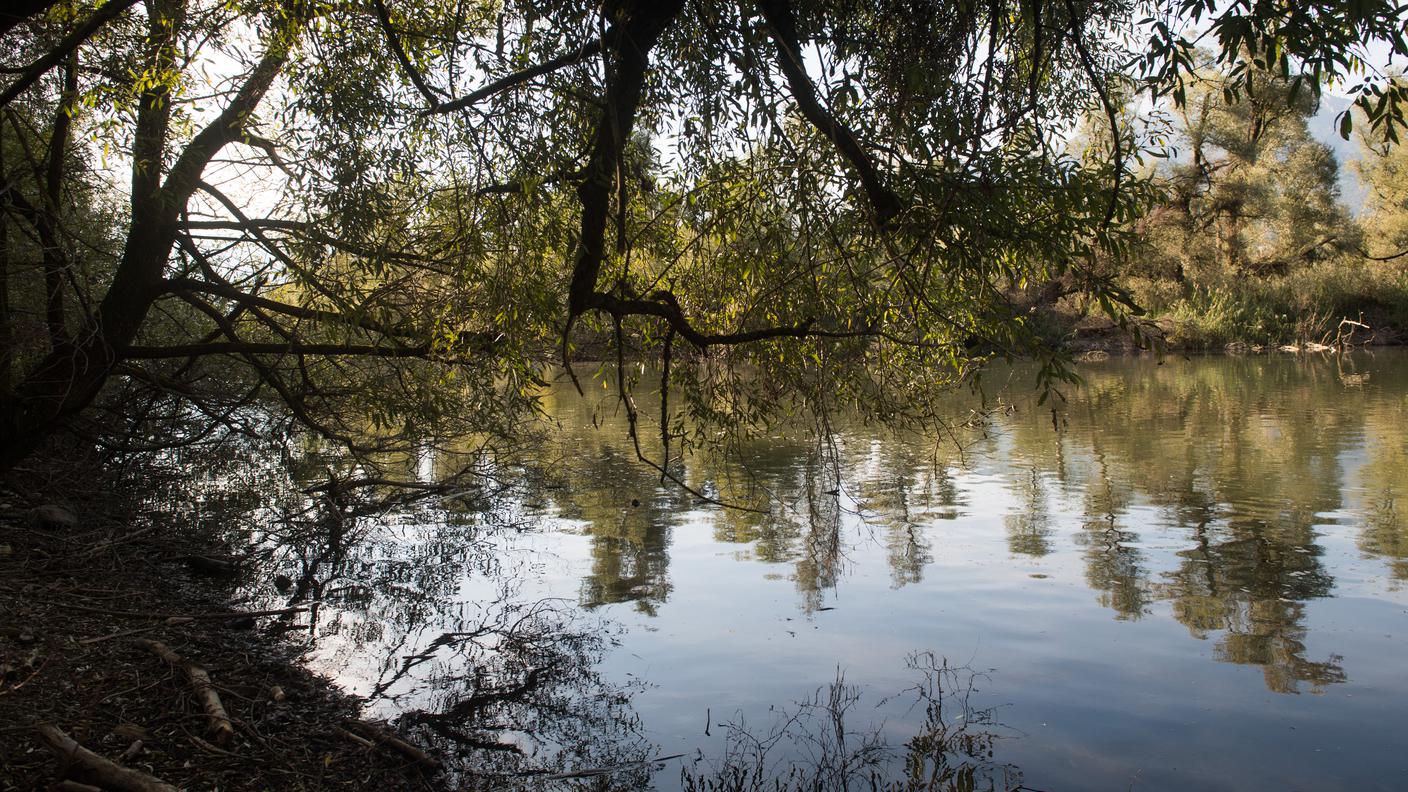 Le spoglie dell'uomo sono state rinvenute nella zona delle Bolle di Magadino