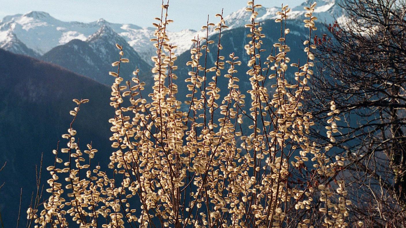 Uno scorcio del Parco della Val Calanca