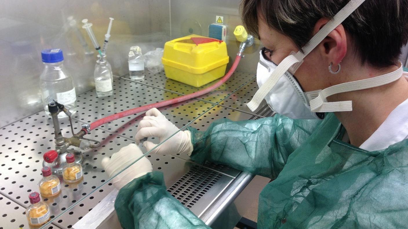 Gli esiti dei test hanno confermato la sospetta diagnosi