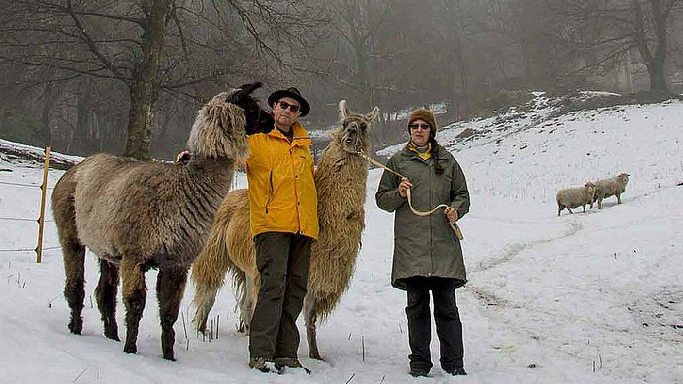 Marisa e Jean-Pierre Baeschlin con i loro lama