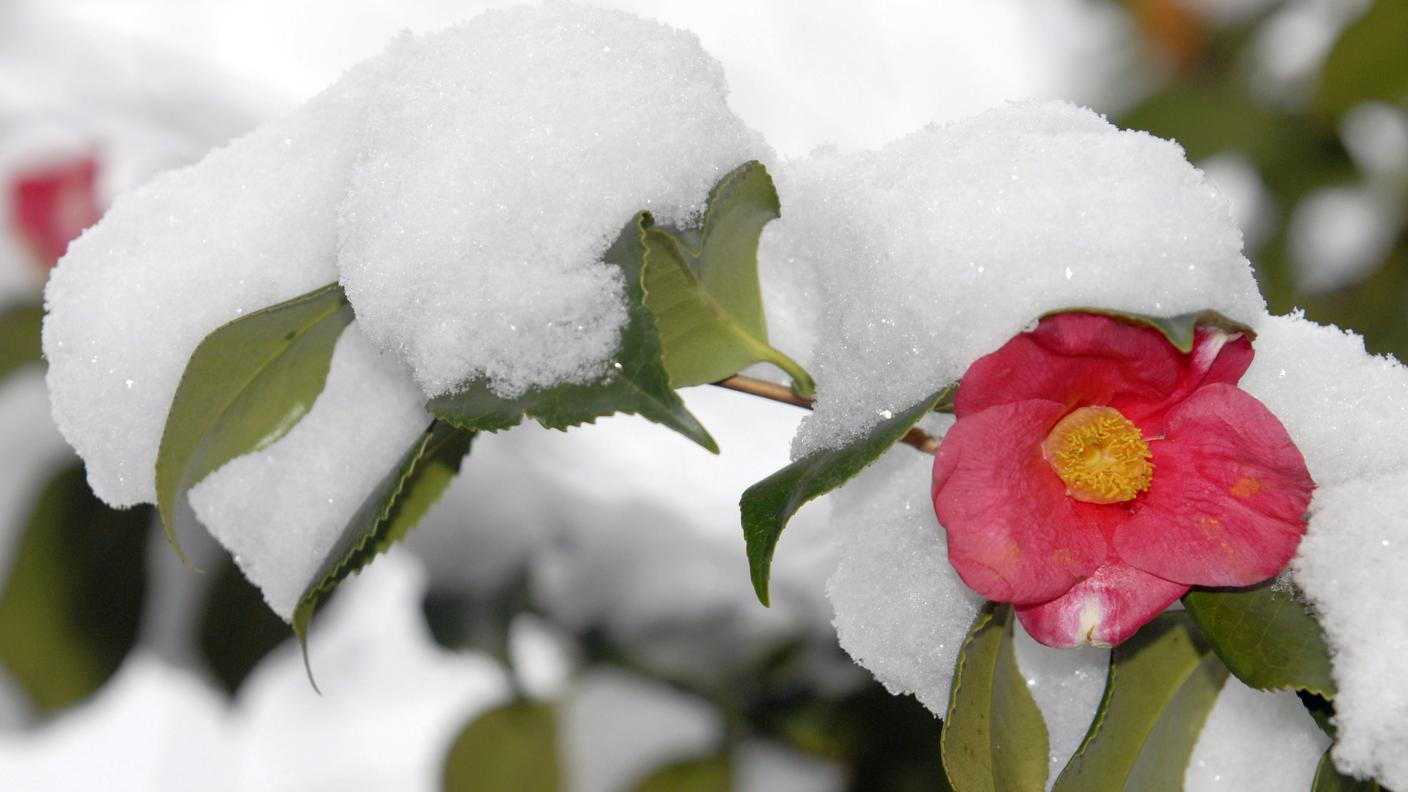 Dopo il sole e il caldo, ritorna la neve