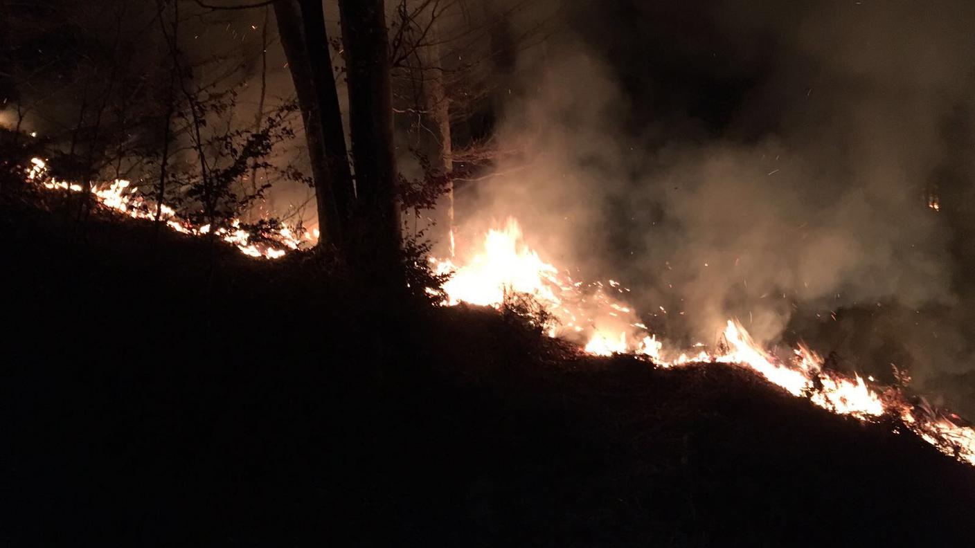 Fiamme in Valle Vigezzo 2017