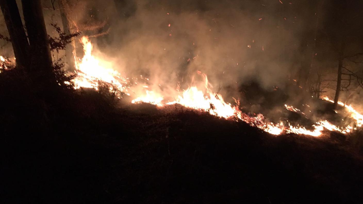 Fiamme in Valle Vigezzo 2017