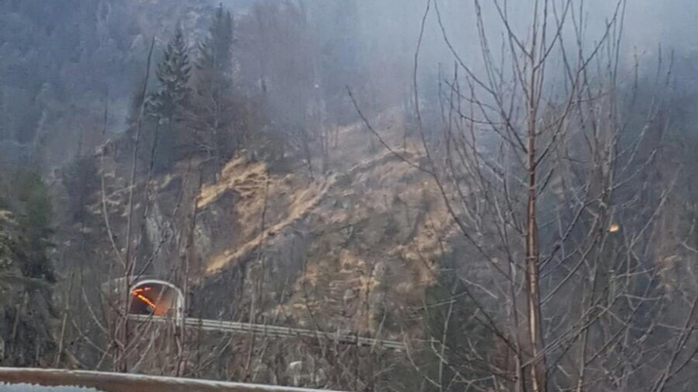 Fiamme in Valle Vigezzo 2017