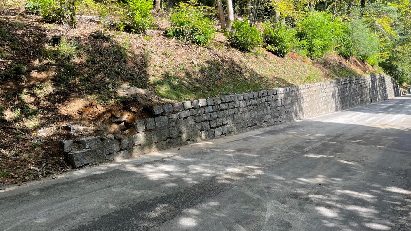 Quattro giovani a bordo del veicolo