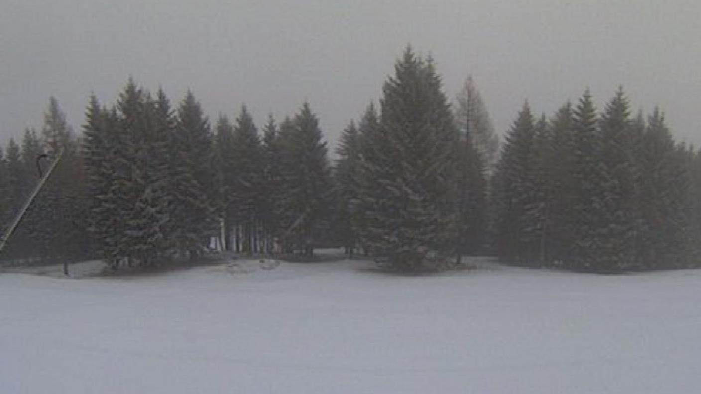 La pineta presso Campo Blenio nel primo pomeriggio di martedì