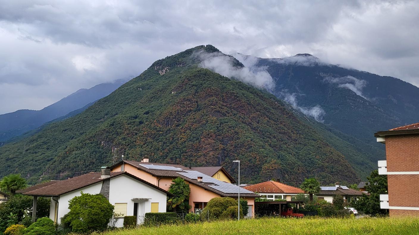 In Ticino i tigli si sono vestiti d'autunno anche sui versanti esposti a nord