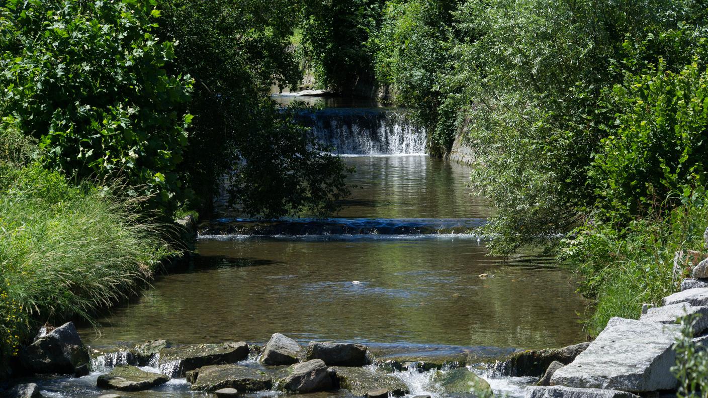 Un tratto del fiume Faloppia