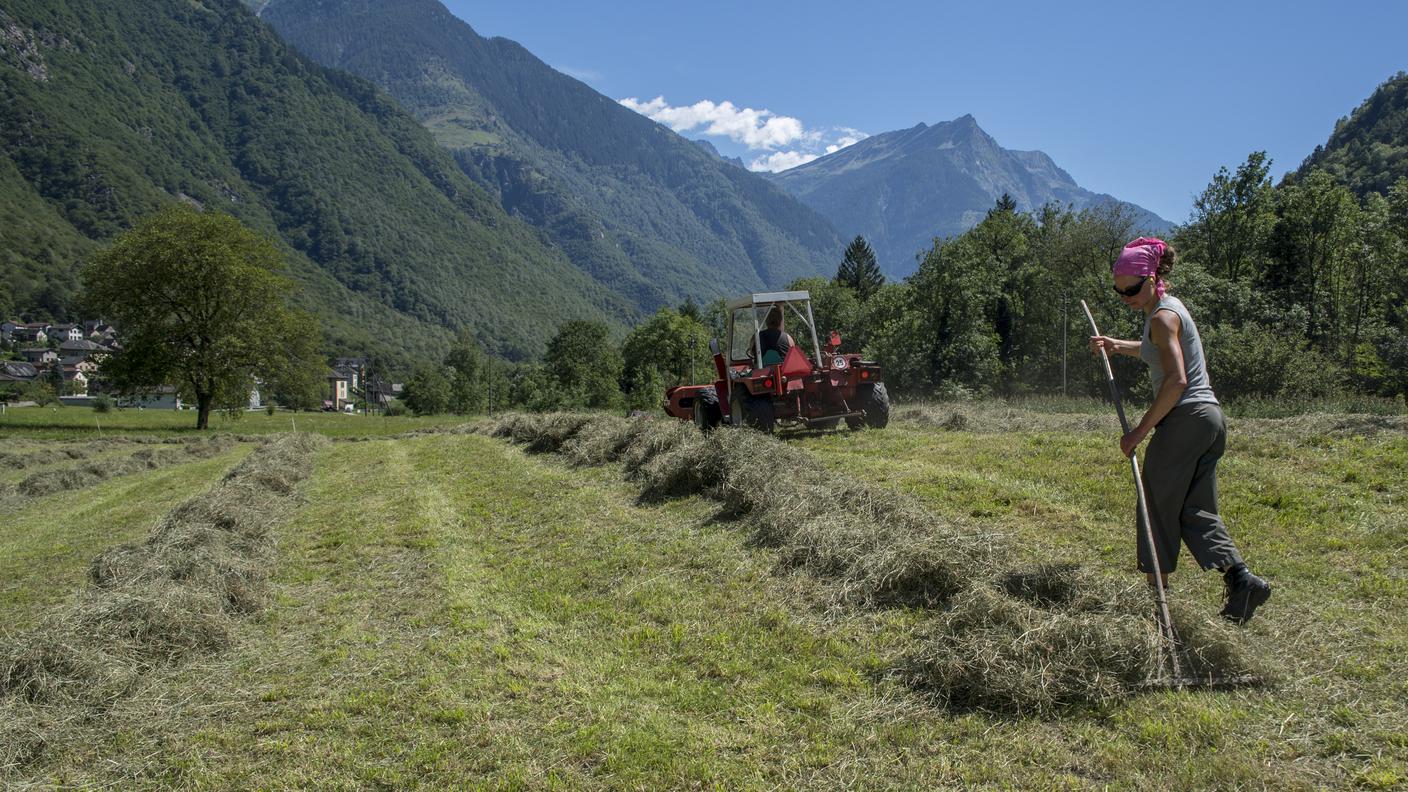 Posti di lavoro garantiti anche nelle regioni discoste