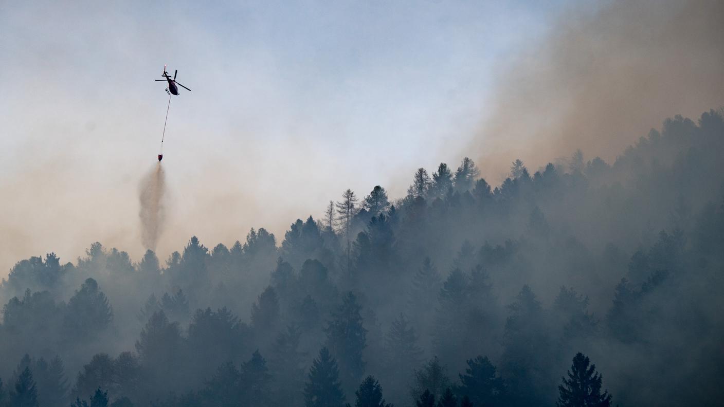 Bosco in fiamme