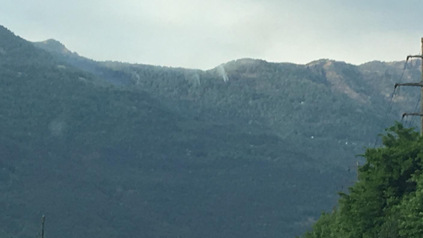 Fumo nel bosco