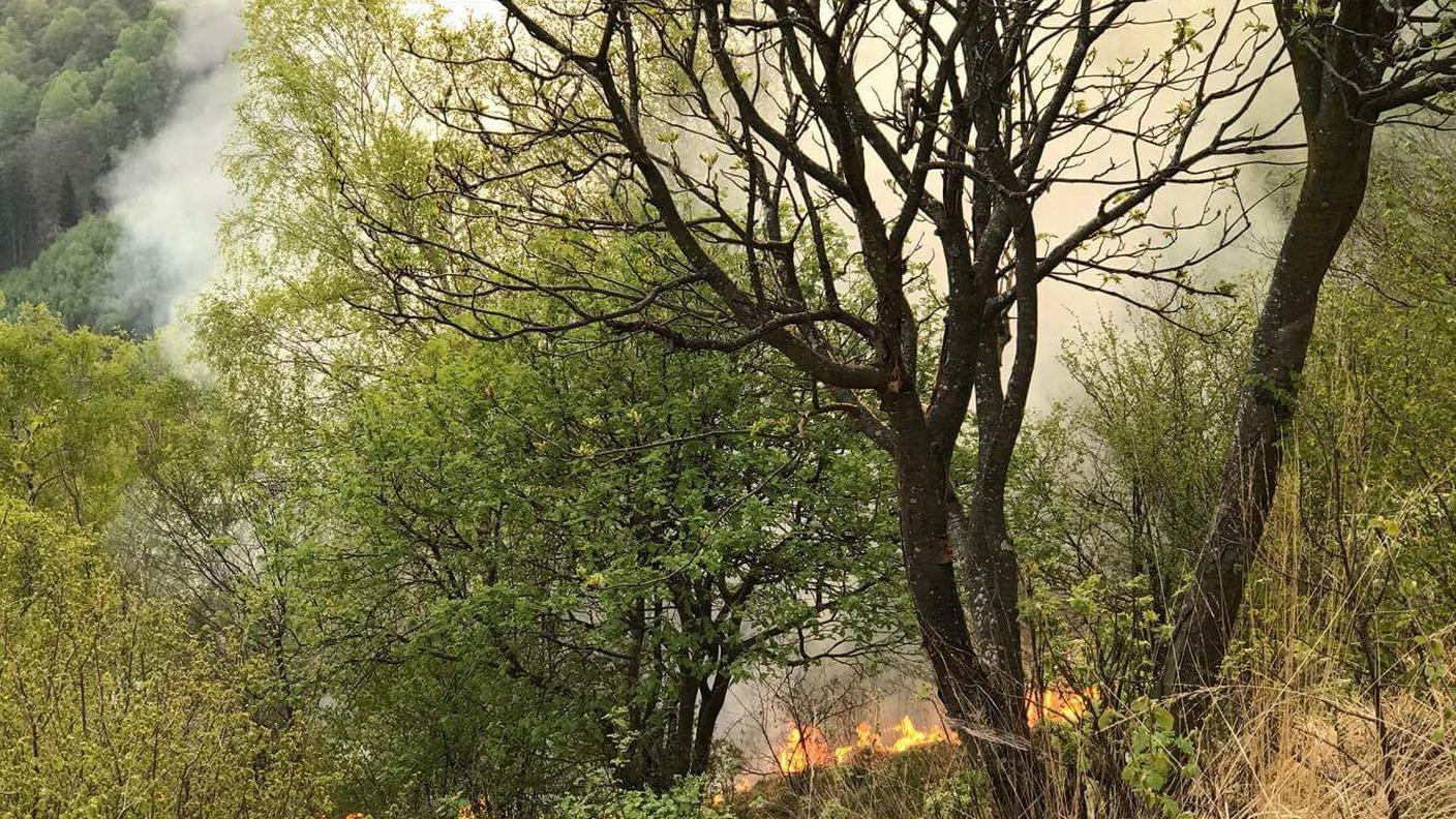 Il fuoco è stato domato