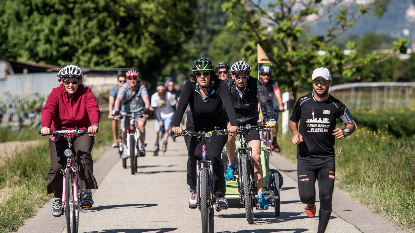 A piedi o in bici sul Piano di Magadino