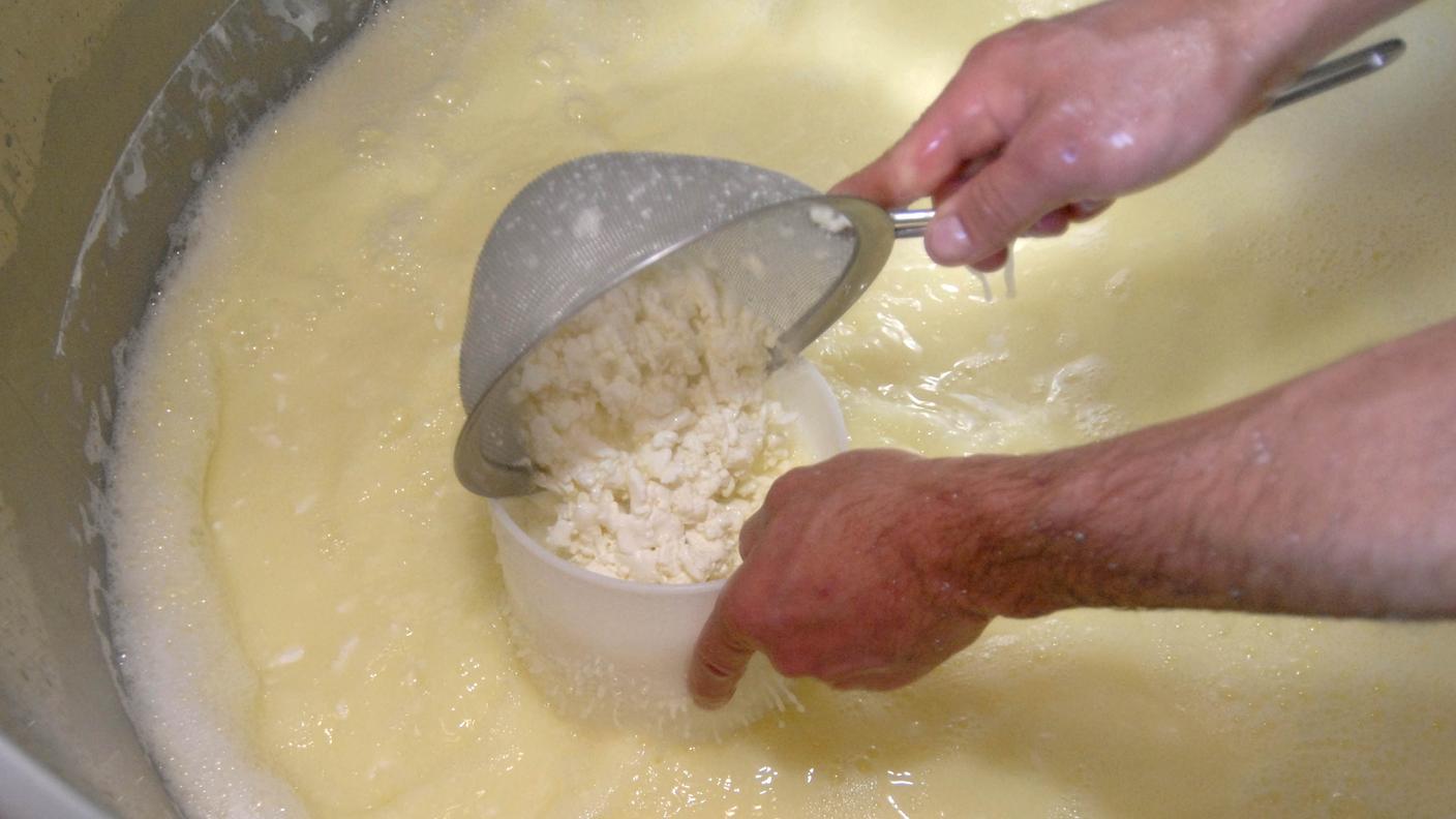 Forme non pericolose, ma immangiabili