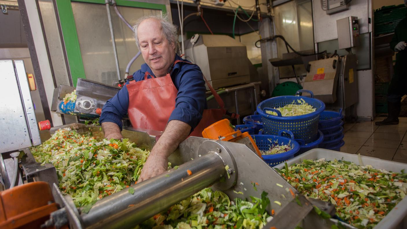 Crotta con le mani nell'insalata