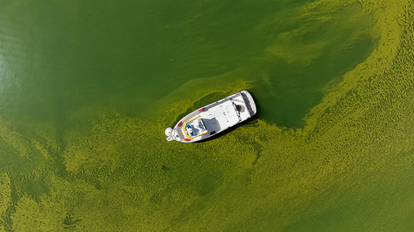 Il lago di Lugano verde a causa dei cianobatteri