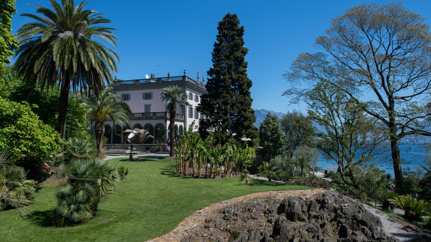 Uno scorcio sul parco botanico delle Isole di Brissago