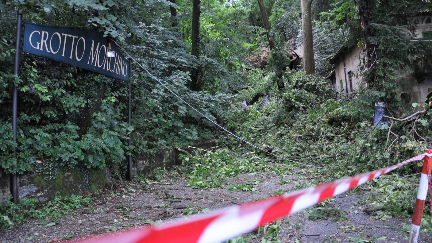 Gli ingenti danni provocati dalla caduti di alberi