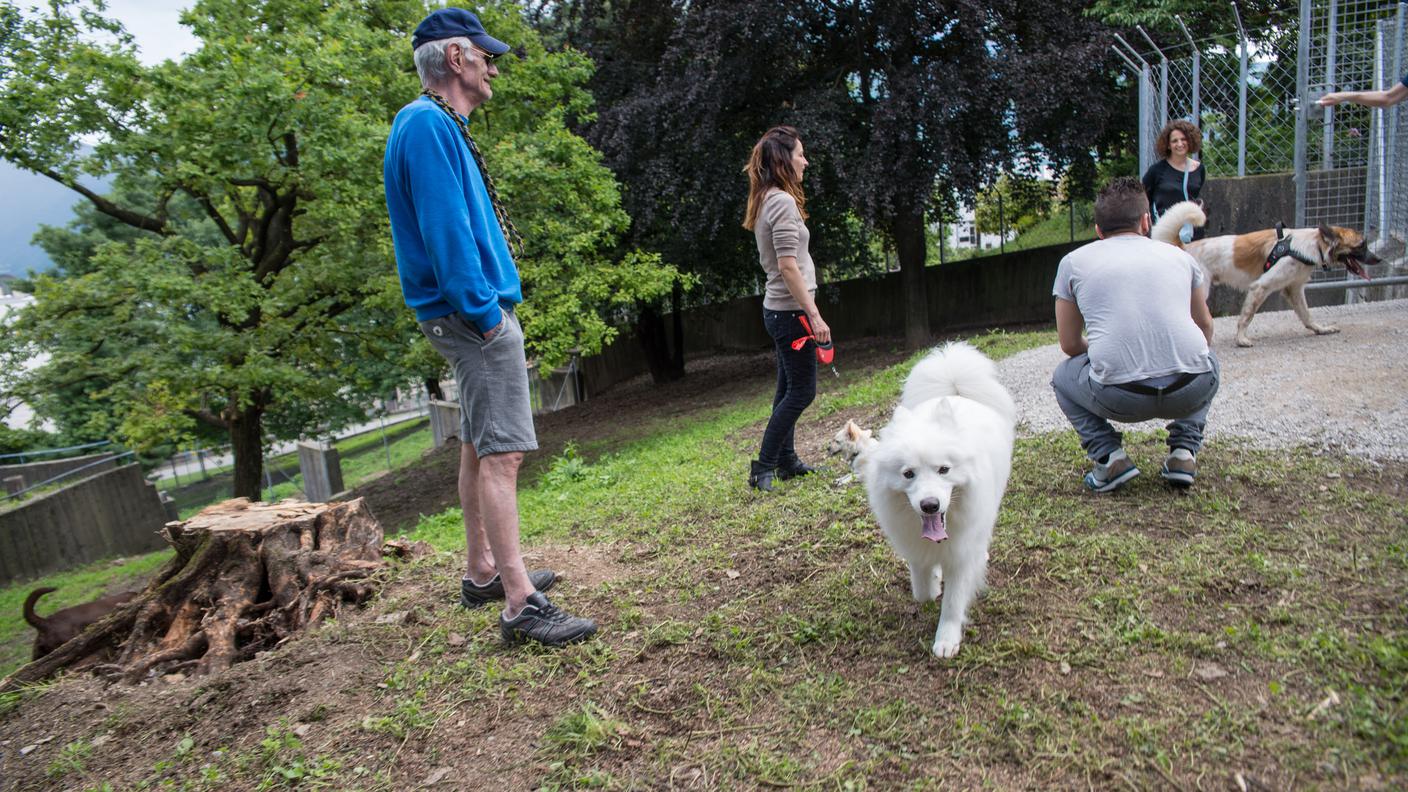 Il parco del Tassino