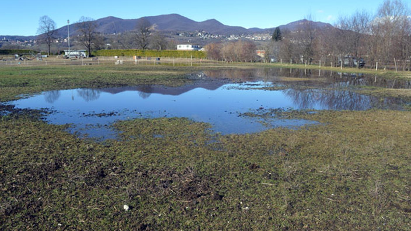 La zona della Colombera a Genestrerio