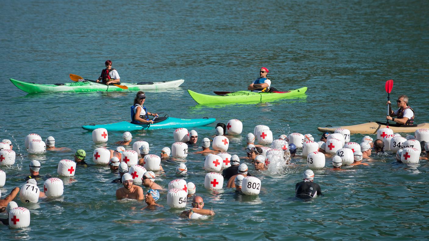 Chi nuota per la "gara" chi per divertirsi