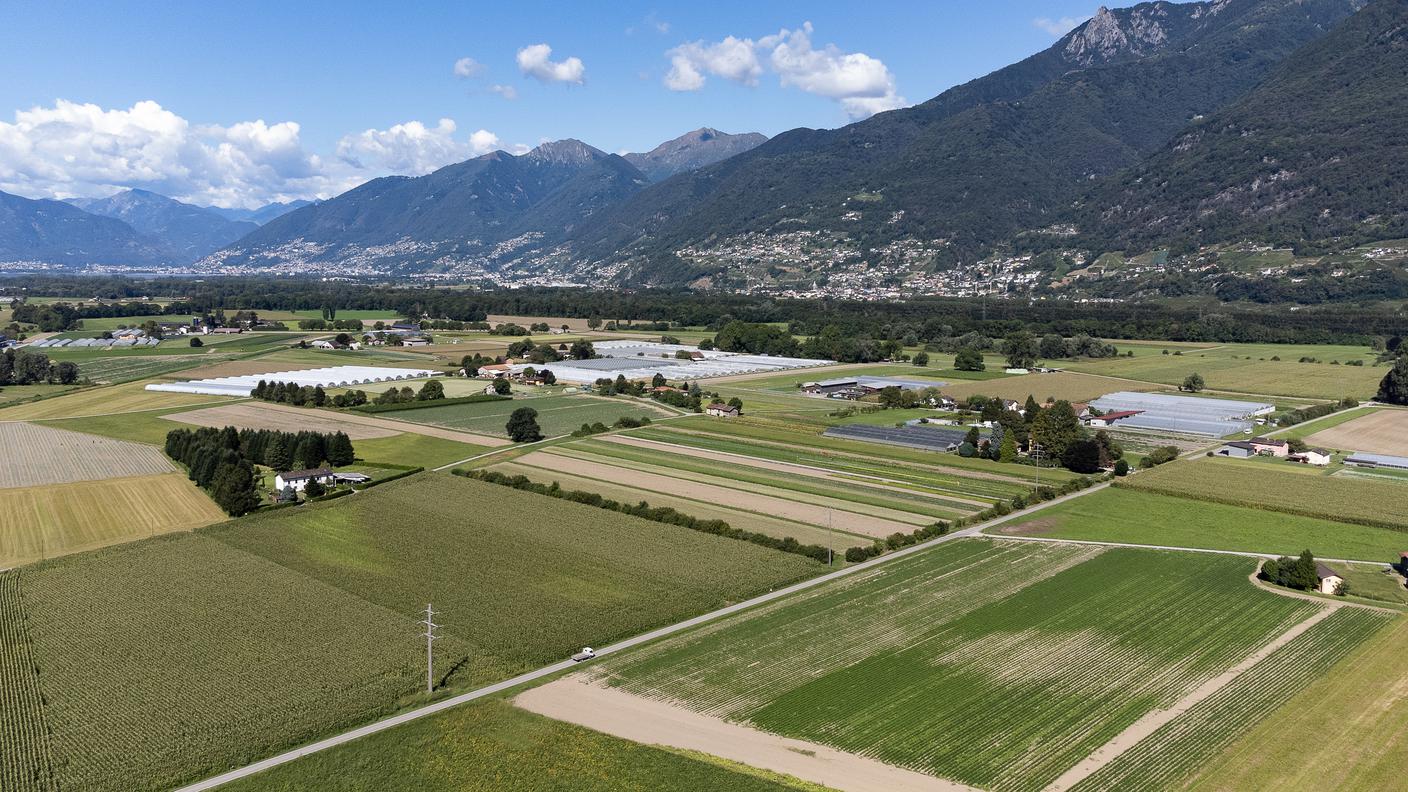 Cadenazzo