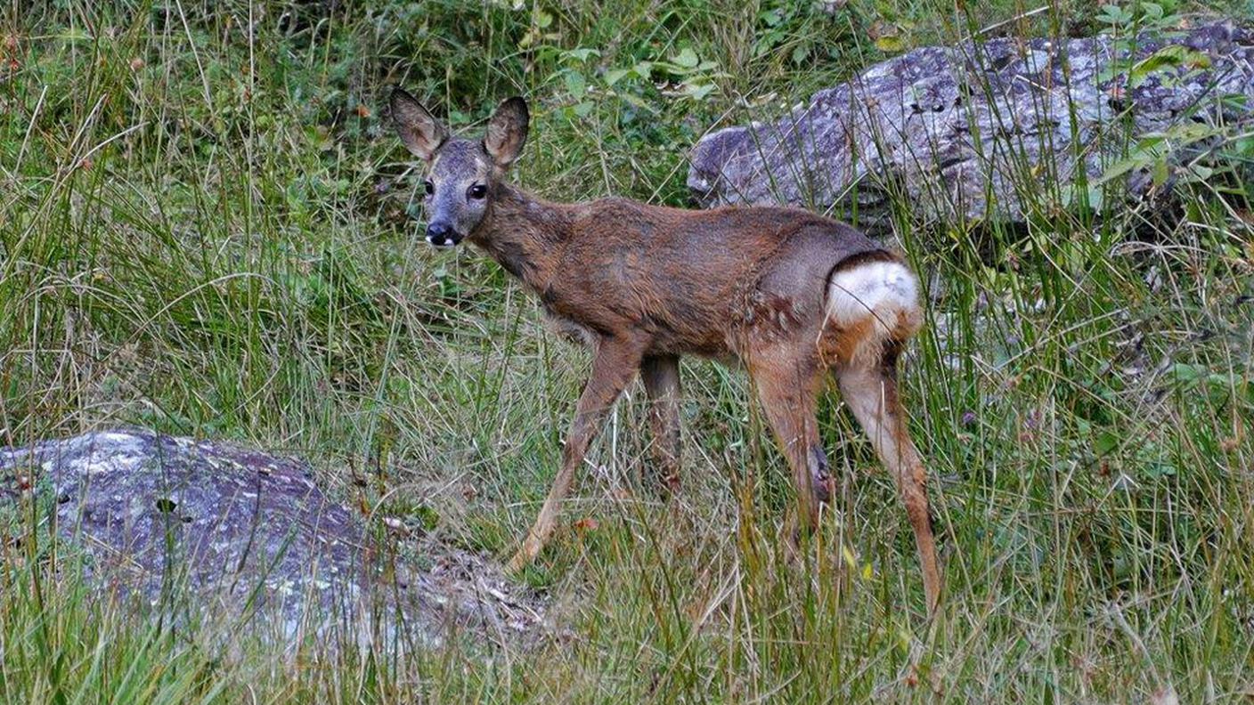 Una sguardo verso la natura