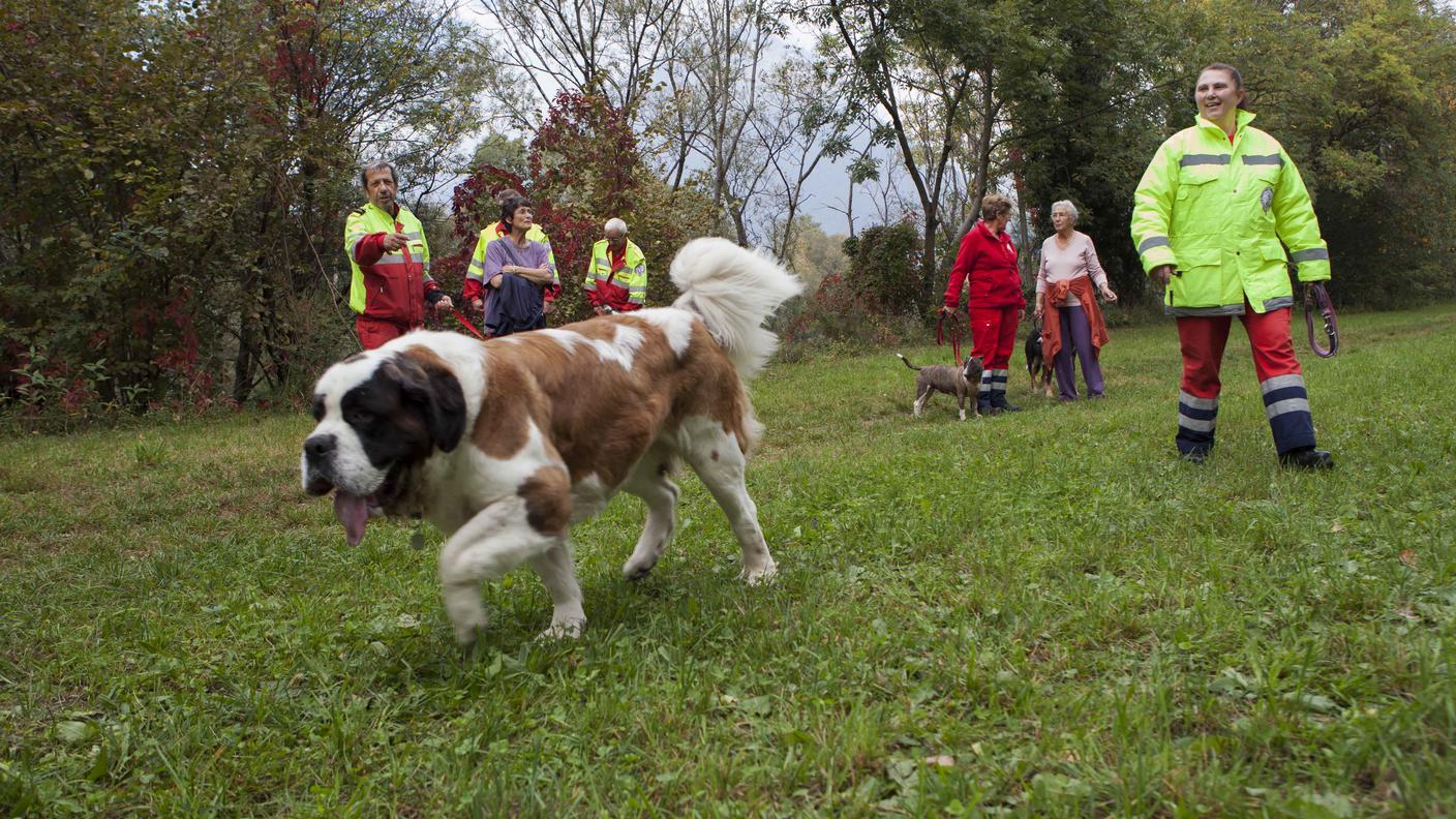 I cani della SPAB sono stati protagonisti dell'inaugurazione