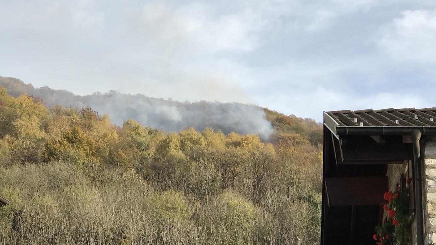 Fiamme nel bosco nel pomeriggio