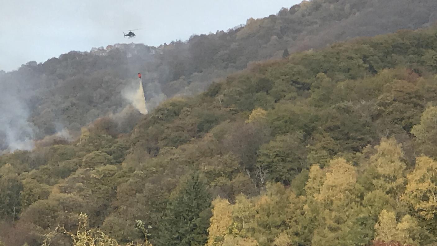 Le fiamme si sono sviluppate sabato pomeriggio