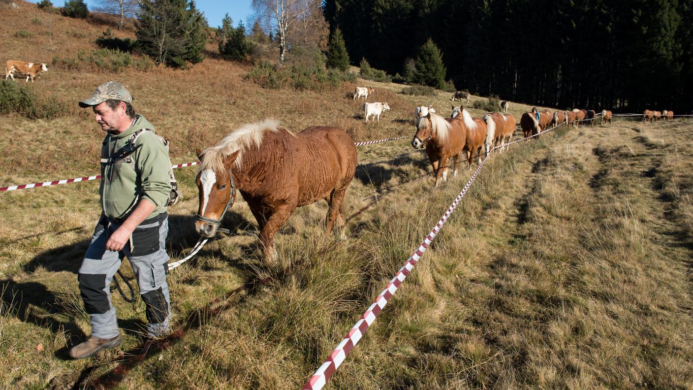 I volontari al lavoro