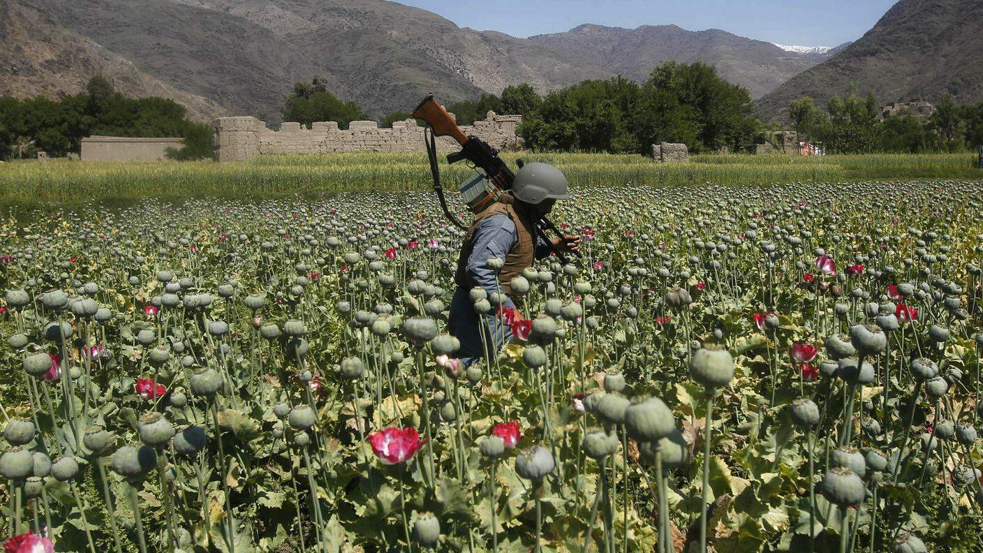 La maggior parte dell'eroina diretta in Europa viene invece prodotta in Afghanistan